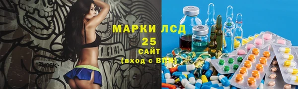 прущий лед Ельня