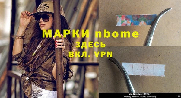 молекула духа Елабуга