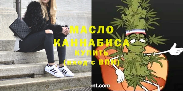 молекула духа Елабуга