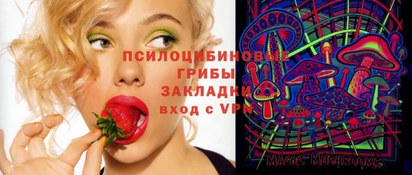 гашик Елизово