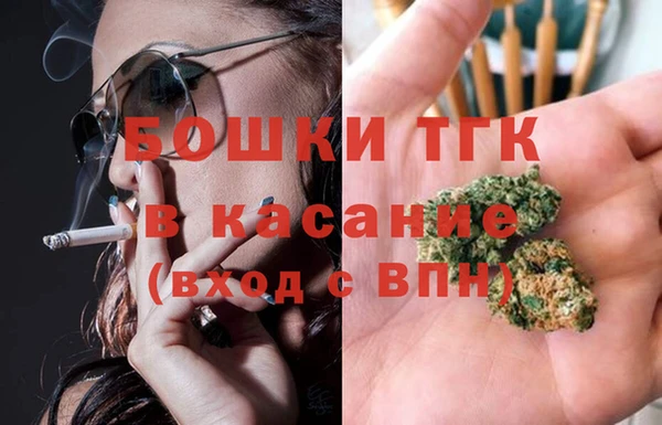молекула духа Елабуга