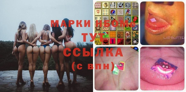 молекула духа Елабуга
